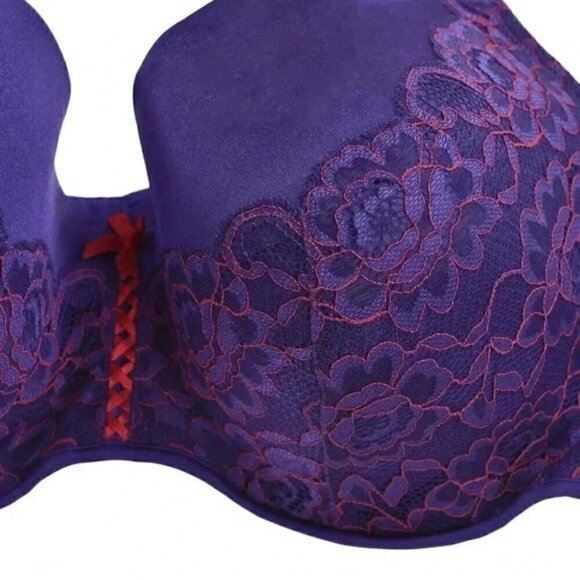 Deesse Purple Red Bra Lace Satin Underwire Size 40DDD - Picture 2 of 7